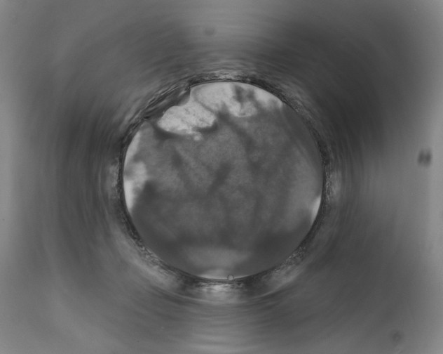 X0000111580365200908271041