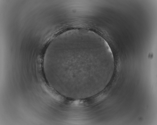 X0000111580366200908271041