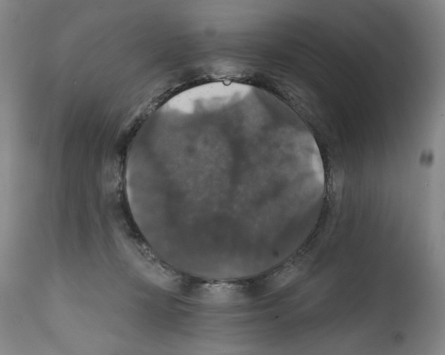 X0000111580367200908271041