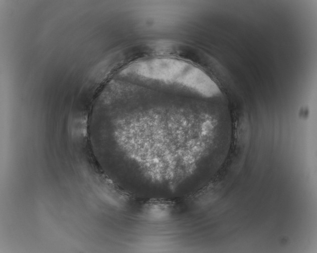 X0000111580368200908271041