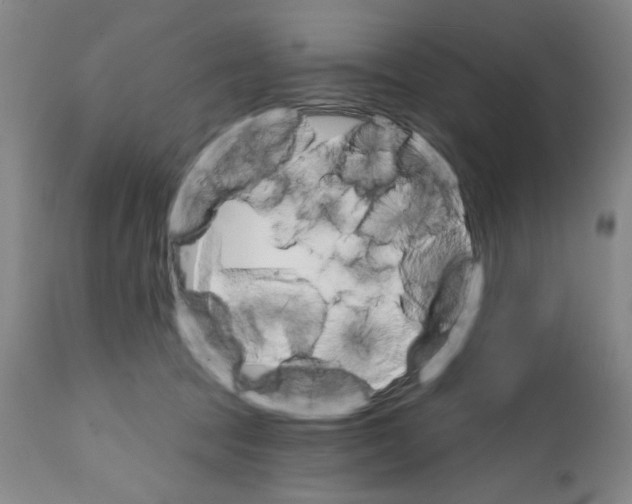 X0000111580369200908271041