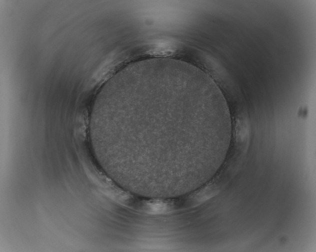 X0000111580370200908271041