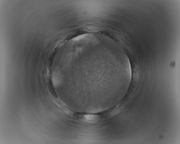 X0000111580371200908271041