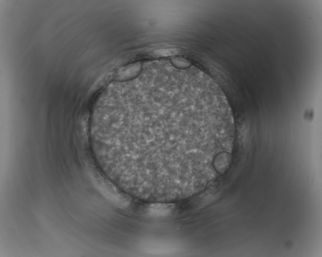 X0000111580373200908271041