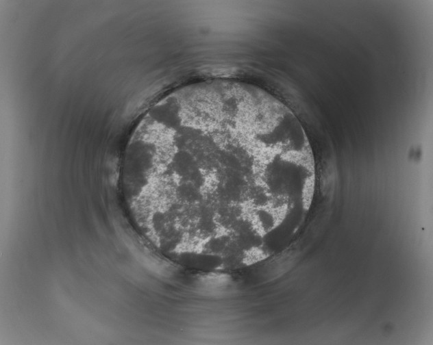 X0000111580374200908271041