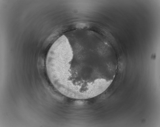 X0000111580375200908271041