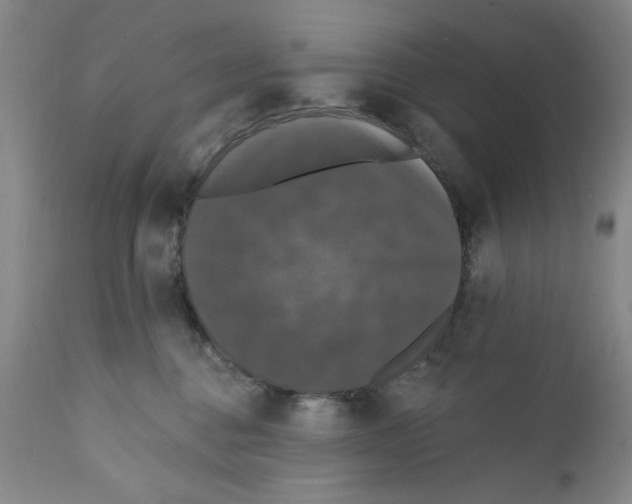 X0000111580376200908271041