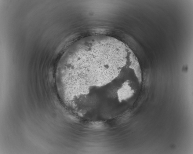 X0000111580377200908271041