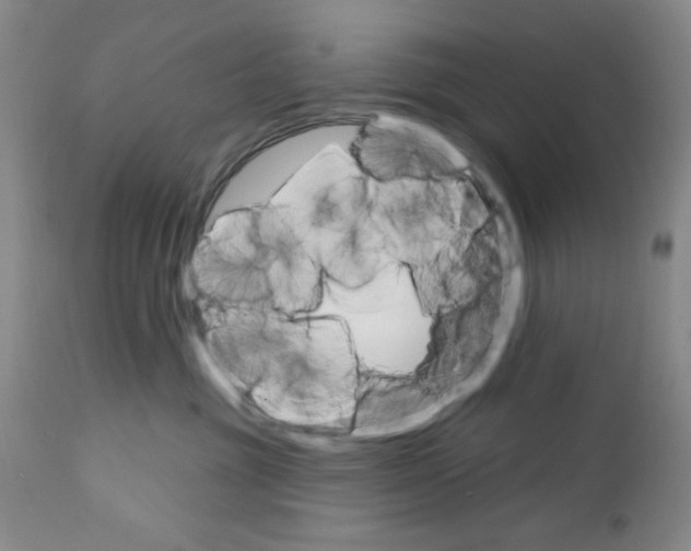 X0000111580381200908271041