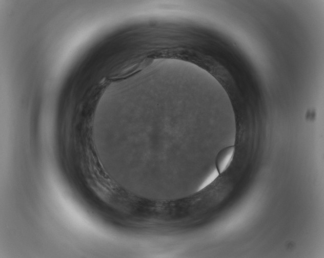 X0000111580383200908271041