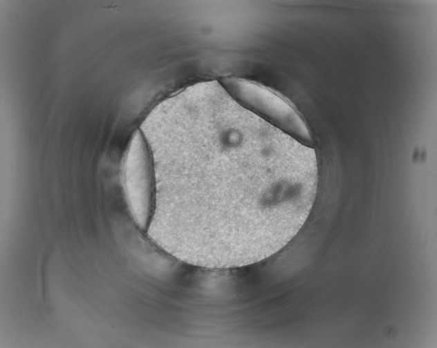 X0000111580384200908271041