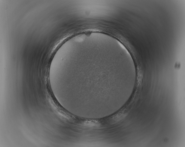 X0000111580386200908271041