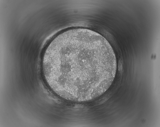 X0000111580388200908271041