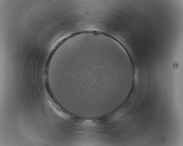 X0000111580390200908271041