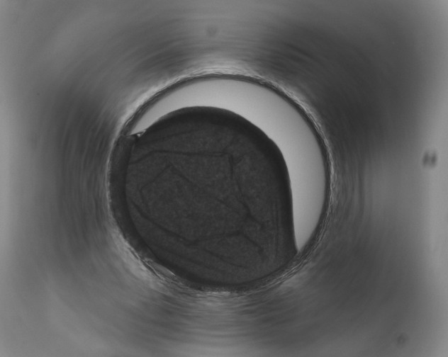 X0000111580391200908271041