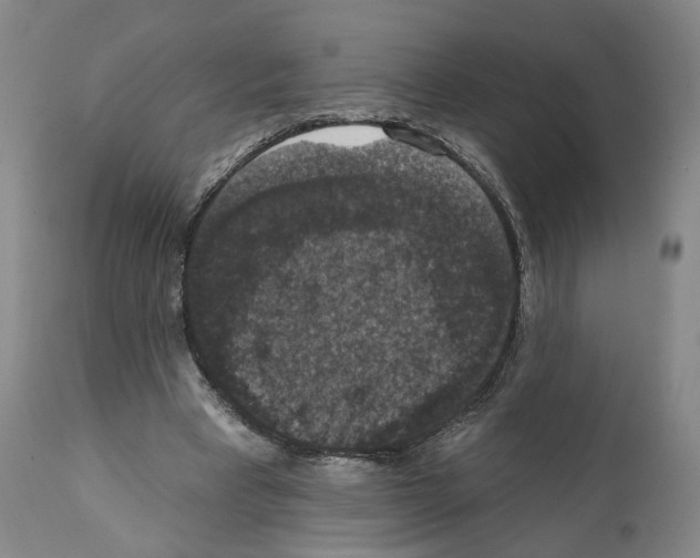 X0000111580393200908271041