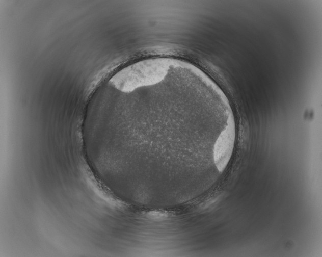 X0000111580394200908271041