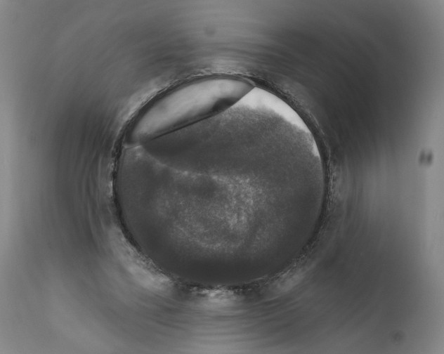 X0000111580395200908271041