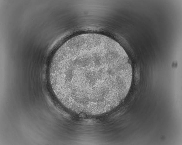 X0000111580396200908271041