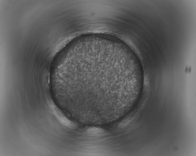 X0000111580397200908271041