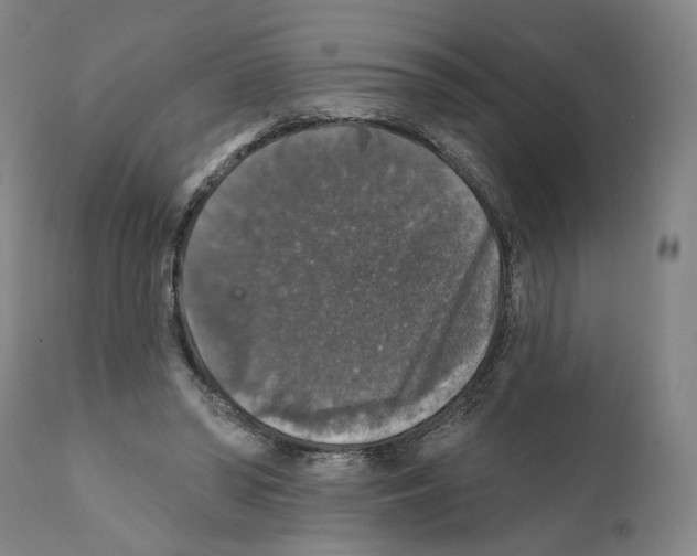 X0000111580398200908271041