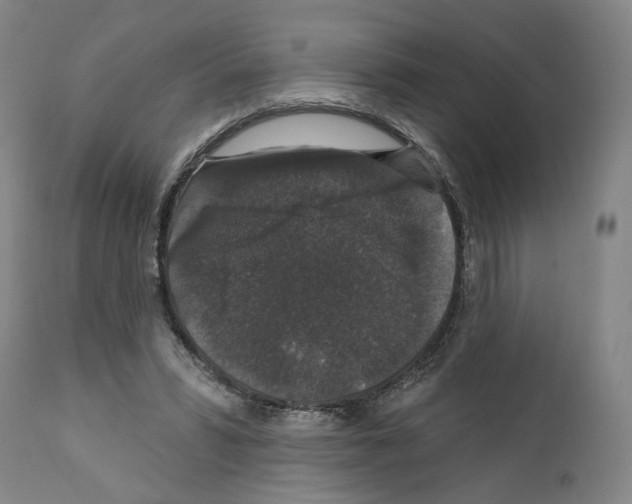 X0000111580399200908271041