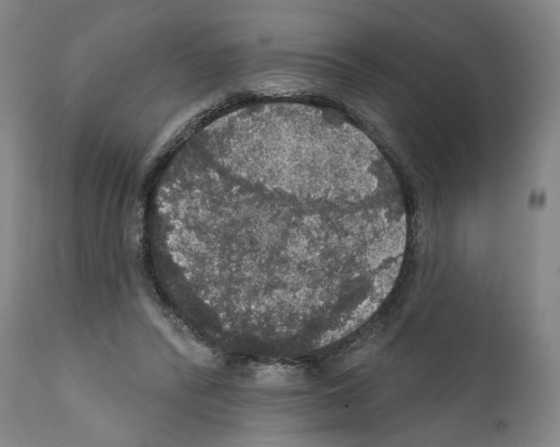 X0000111580400200908271040