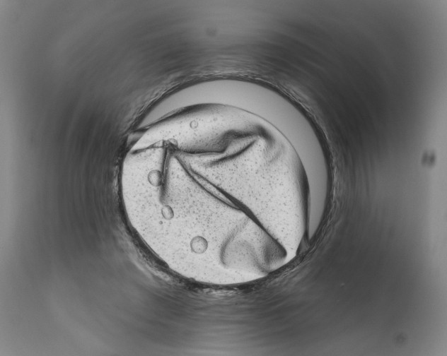 X0000111580401200908271040