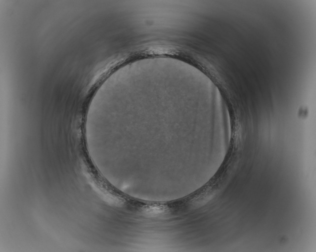 X0000111580402200908271040