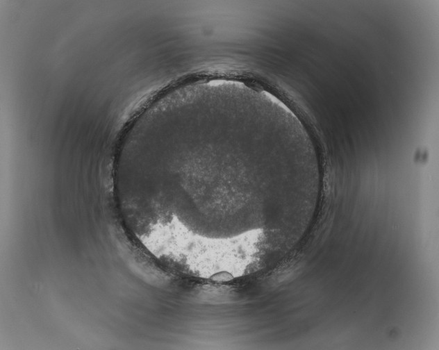 X0000111580403200908271040