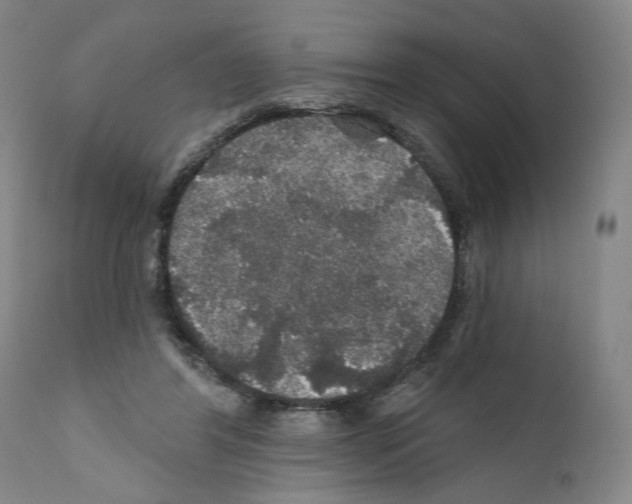 X0000111580404200908271040