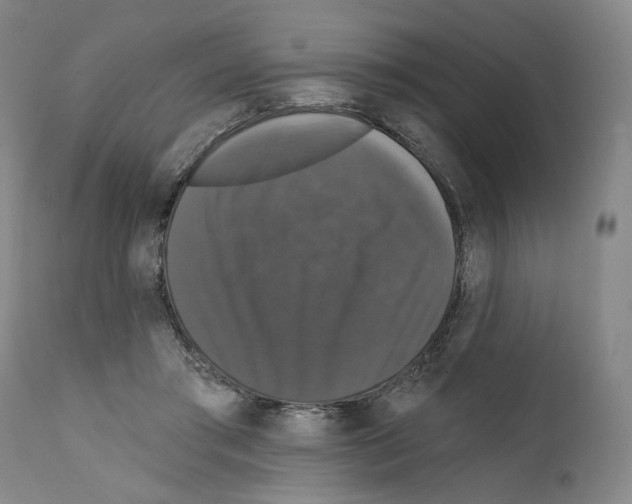 X0000111580405200908271040