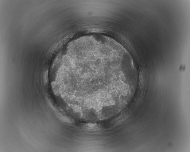 X0000111580406200908271040