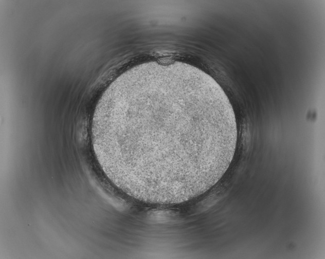 X0000111580408200908271040