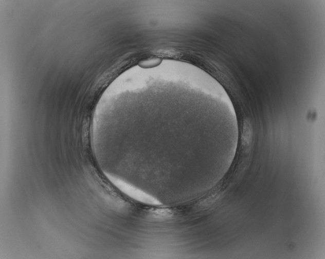 X0000111580409200908271040