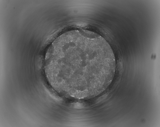 X0000111580412200908271040