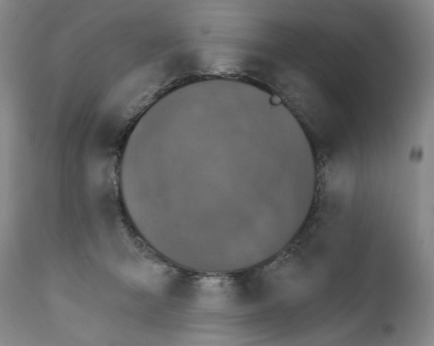 X0000111580415200908271040