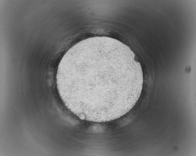 X0000111580416200908271040