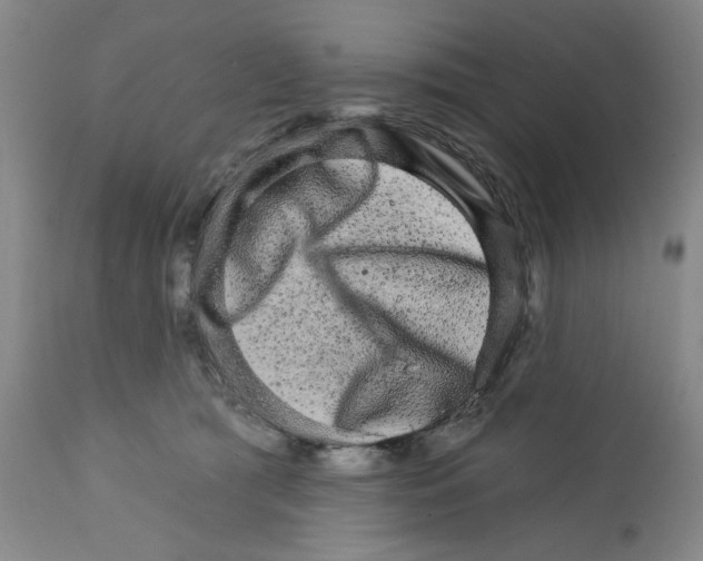 X0000111580417200908271040