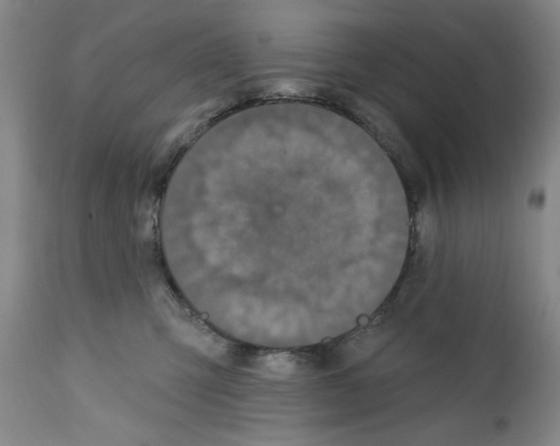 X0000111580423200908271040