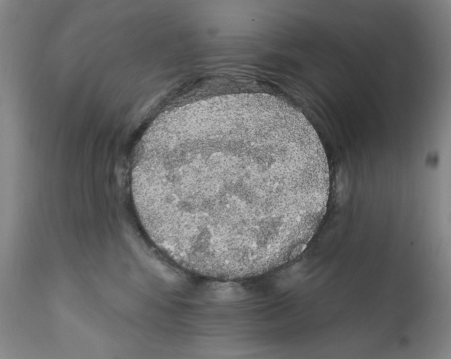 X0000111580424200908271040