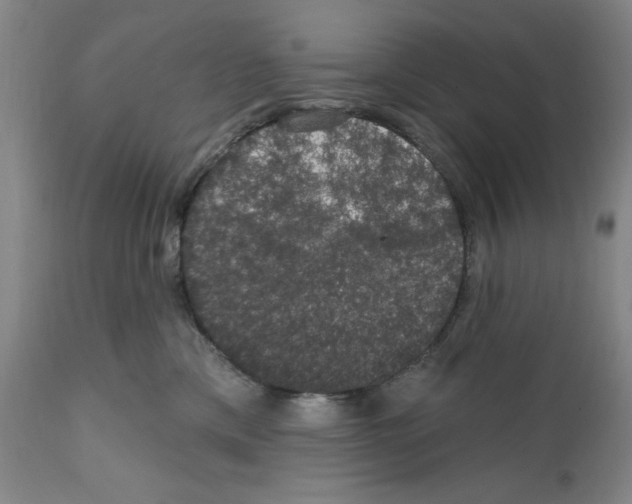 X0000111580425200908271040