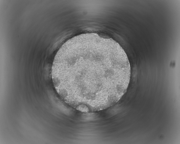 X0000111580428200908271040