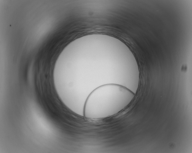 X0000111580429200908271040