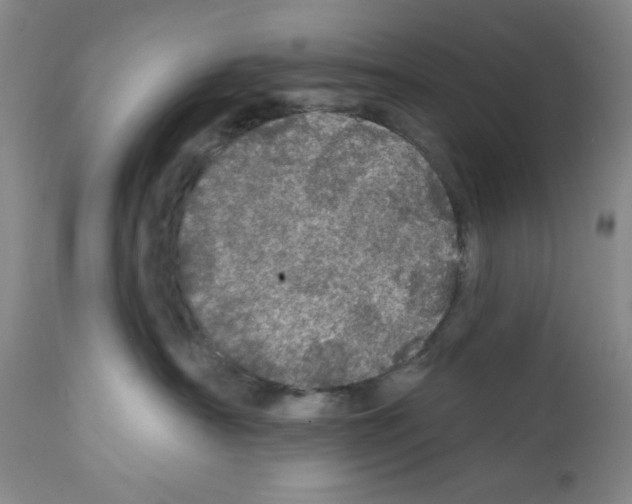 X0000111580430200908271040