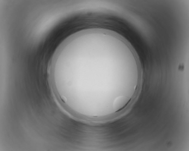 X0000111580431200908271040