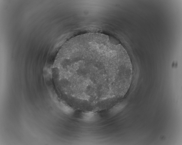 X0000111580432200908271040