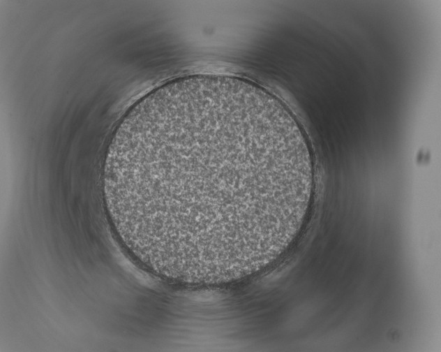 X0000111580433200908271039