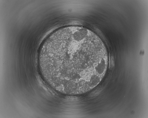 X0000111580435200908271039