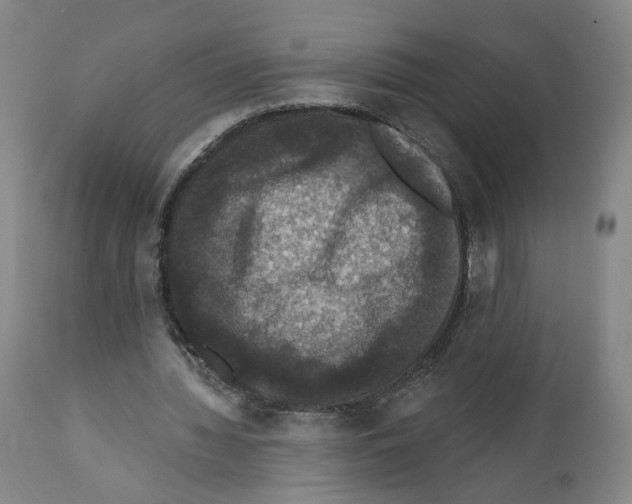 X0000111580436200908271039